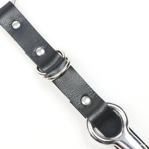 5853 EverydayUse Collar Hook Leash Kinky with and Anal 1024